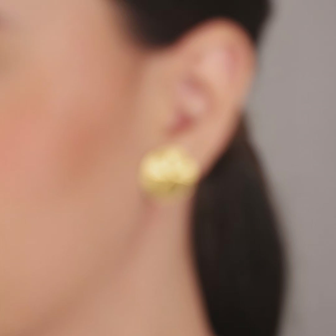 Brinco Medalha Radial